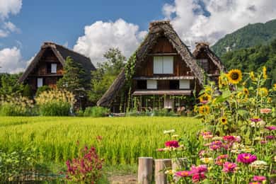Nagoya: Shirakawa-go, Gujo, Hida Takayama Historic Day Tour