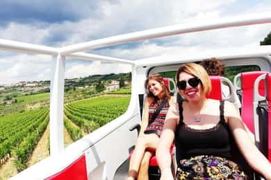 Wine Tour in Open Top Van