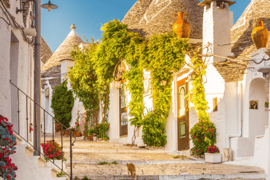 Guided Tour of Alberobello Trulli with Transfer included