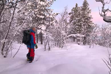 Passeio com raquetes de neve em uma floresta de inverno
