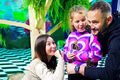 Krakow: Levende sommerfugler Museum ''House Of Attractions''