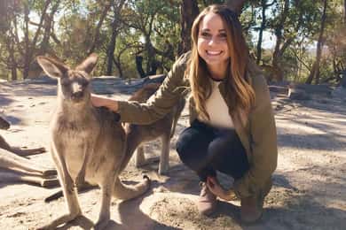 Från Haymarket: Hunter Valley vin- och djurliv dagsutflykt