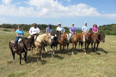 Agadir: Guided Horse Riding Along Flamingo River with Tea