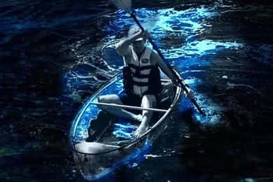Cocoa Beach: Clear Kayak Bioluminescence Tour
