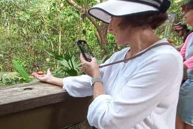 Panama City: Soberania National Park Hiking Tour