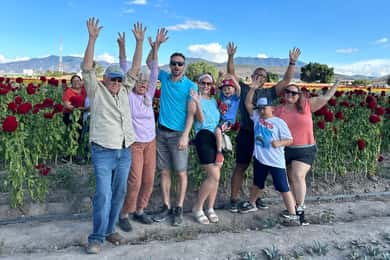 Oaxaca: Visita en grupo reducido a Hierve el Agua y la Destilería de Mezcal