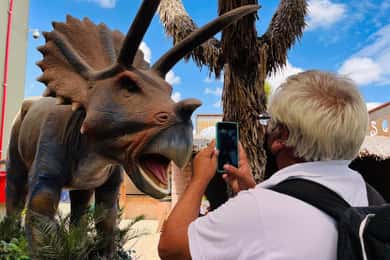 TOUR: "Dinosaurus museum" met gids, transfer en tickets