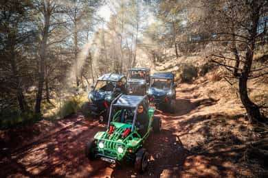 Benidorm: Excursión a la Jungla de Buggies o a las Cascadas del Algar