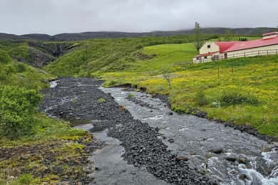 Islandia Reykjavik: Círculo Dorado Tour Privado