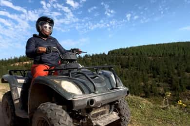 Knysna: Guided Quad Bike Tour in the Forest