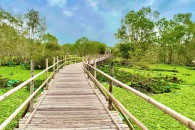 Ho Chi Minh: 3 dager Mekong Cai Be, Cai Rang og Tra Su-skogen