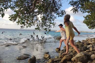 Snorkeling and Grilling Fresh Fish at Donkey Beach