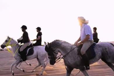 Doha: passeggiata a cavallo con trasferimenti