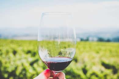 Sardinia: Wine Tasting and Nuragic Village Tour in Alghero