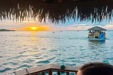Destin: Sunset Crab Island & Dolphin Tour on Tiki Vessel
