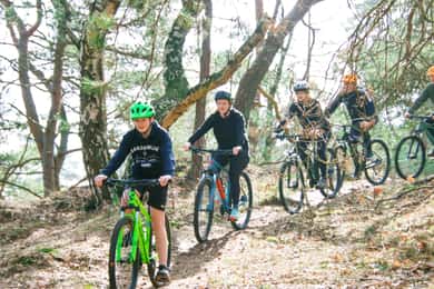 Harderwijk: Mountainbikeverhuur op de Veluwe