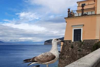 Sorrento: vandring i Grand Tour med fantastiske landskap