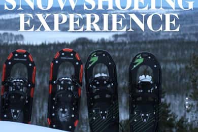 Rovaniemi: camina fins al cim del turó històric de l'Àrtic