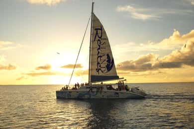 Montego Bay: cruzeiro de catamarã Reggae Sunset