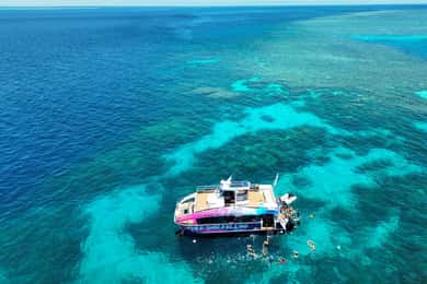 Cairns: Great Barrier Reef Half-Day Snorkeling Adventure