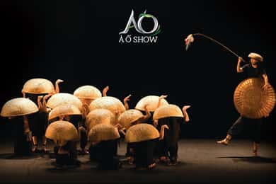 Tour con cena e tour panoramico in battello A O Show Lune Production