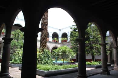 Ciudad de México: Tour a Pie Coyoacán Cultural Historia y Gastronomía.