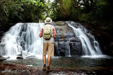 Floresta tropical de Sinharaja e viagem à fábrica de chá