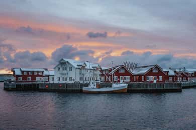 Lofoten Scenic Sightseeing Tour: Halvdagstur