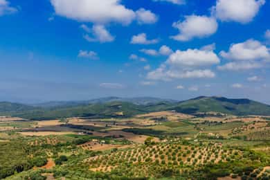 Civitavecchia: Tuscany Full-Day Guided Trip w/Wine Tasting
