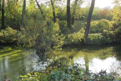 Parma: Food Valley Ebike Tour with Guide and Tasting