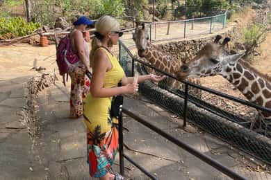 Mombasa Full Day City tour & Haller Park