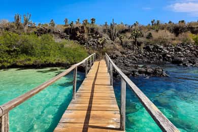 3 BEST GALAPAGOS TOURS- BEST HIKE AND SNORKEL TOP EXPERIENCE