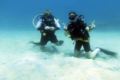 Koh Samui: Oplev dykning