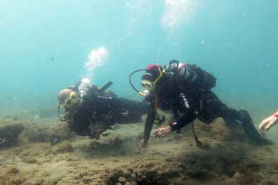 Fuerteventura: Ontdek duiken