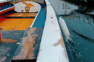 Aveiro : Visite privée à pied de la ville et du bateau Moliceiro