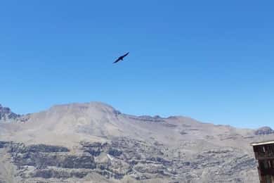 Santiago i Spanien: Kondorskådning vid Andes & Artisan Village