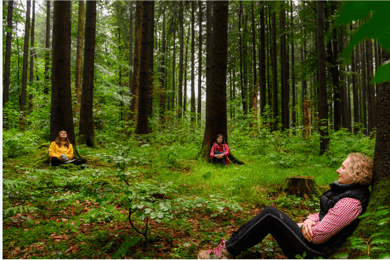 Bad Wörishofen: Shinrin-Yoku – Forest Bathing