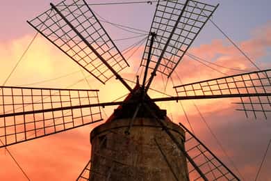 Saline di Trapani: tour de 2 horas y 30 minutos por las salinas.