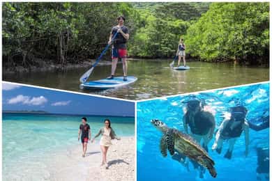 Iriomote Mangrove SUP and Snorkeling at Coral island