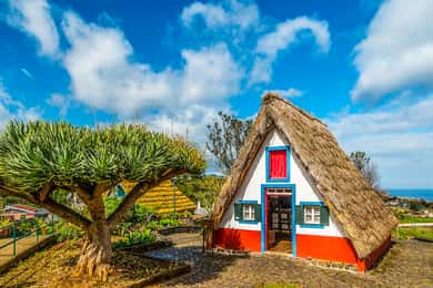 Madeira: Best of the East Tour from Funchal