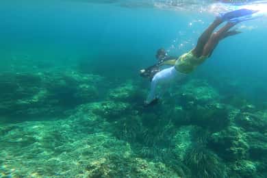 Nice, Cap d'Ail: Zee Scooter Snorkelen Tour