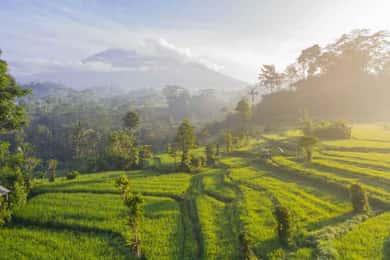 EAST BALI TOUR EXCLUSIVE GATE HEAVEN LEMPUYANG TEMPLE