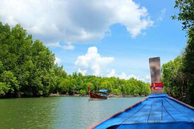 Fra Ko Lanta: Mangrove-øko-udflugt med longtailbåd