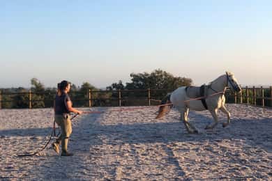 Costa Alentejana: Passeio a cavalo na Serra de Grândola