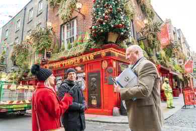 Dublin: Privat pub-tur