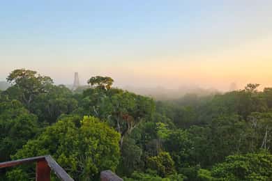 Vanuit Flores: Tikal Nationaal Park All Inclusive