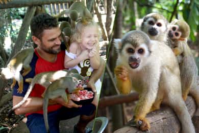 Passeio na selva dos macacos + Transporte do cruzeiro/hotel