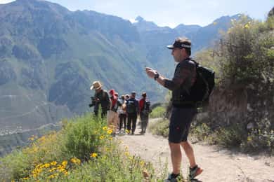 Arequipa: Tour di 2 giorni con trekking nel Canyon del Colca