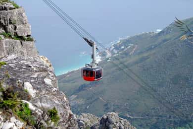 Cidade do Cabo: Excursão de 1 dia à Table Mountain e ao Cabo da Boa Esperança