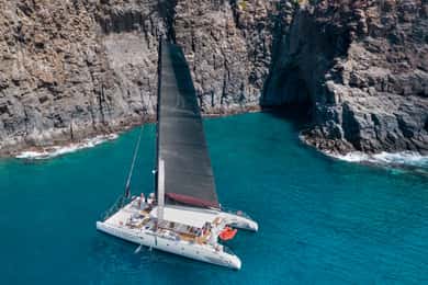 Tenerife: Catamaran Cruise with Brunch and Unlimited Drinks